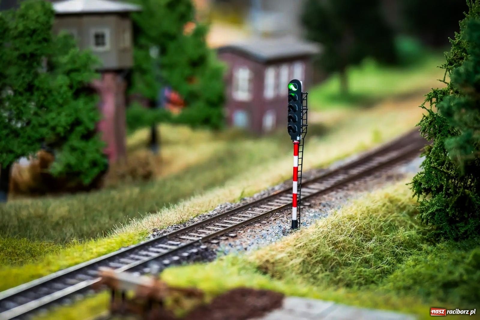 Zdjęcie w galerii na portalu naszraciborz.pl: Rudzka majówka z wąskotorówką i makietą kolejową [FOTO i WIDEO] wiadomości z regionu