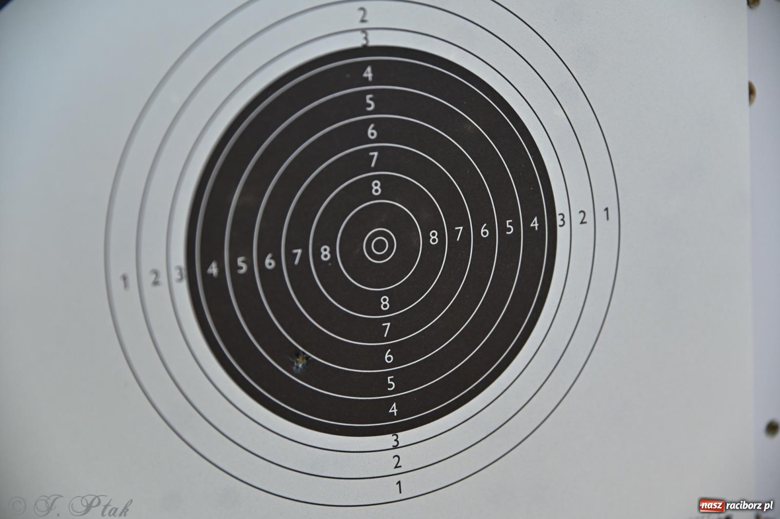 Zdjęcie w galerii na portalu naszraciborz.pl: Sportowe upamiętnienie Konstytucji 3 Maja na strzelnicy przy Łąkowej wiadomości z regionu