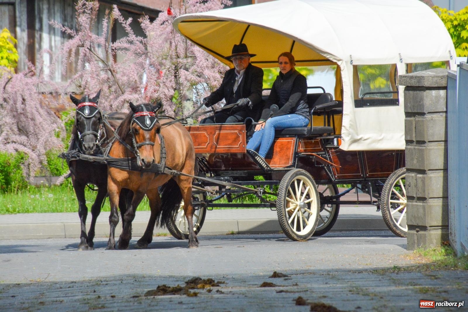 Zdjęcie w galerii na portalu naszraciborz.pl: W Pogrzebieniu ruszyła 148. procesja upamiętniająca wielkie gradobicie z 1877 roku wiadomości z regionu