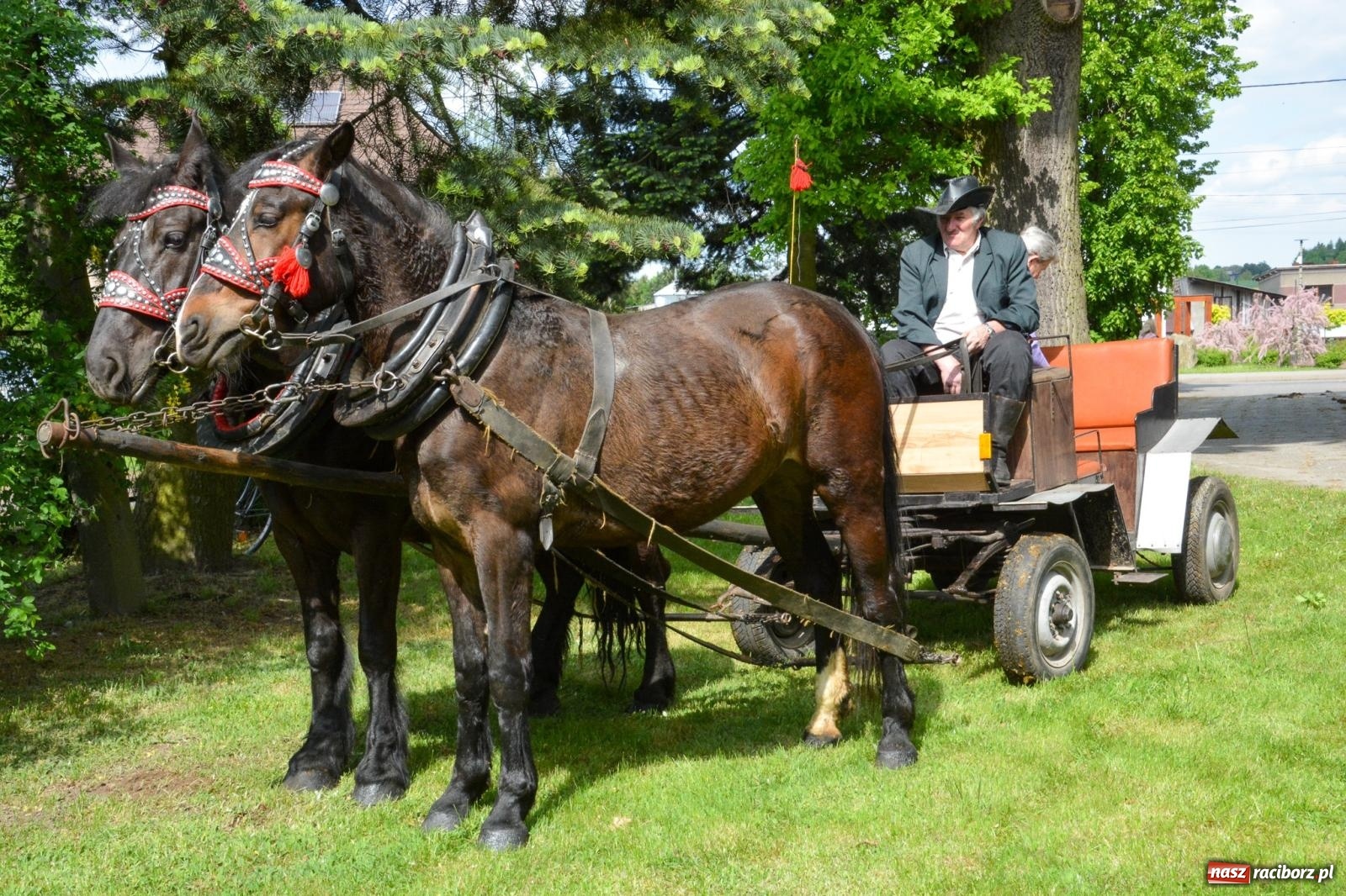 Zdjęcie w galerii na portalu naszraciborz.pl: W Pogrzebieniu ruszyła 148. procesja upamiętniająca wielkie gradobicie z 1877 roku wiadomości z regionu