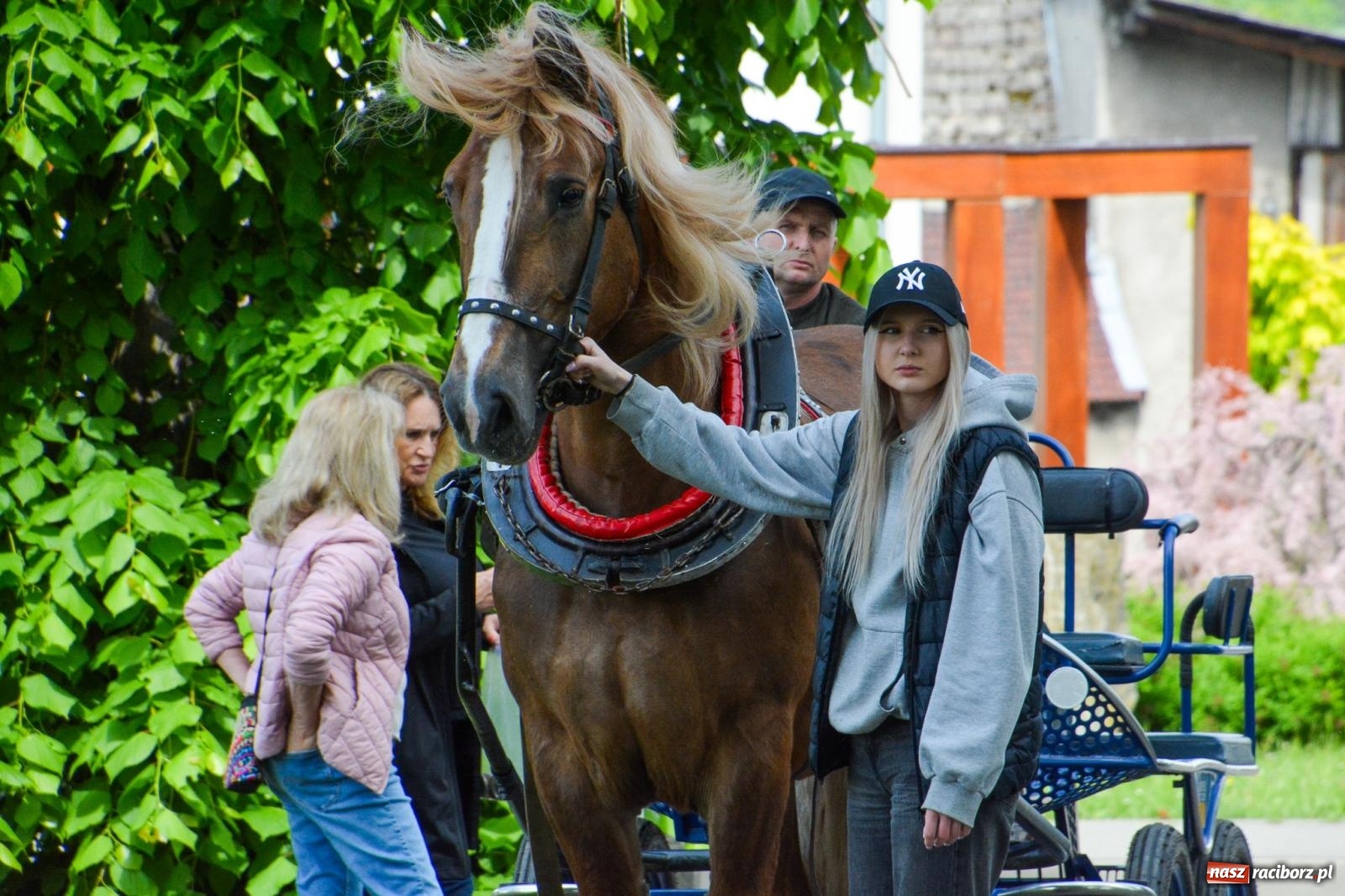Zdjęcie w galerii na portalu naszraciborz.pl: W Pogrzebieniu ruszyła 148. procesja upamiętniająca wielkie gradobicie z 1877 roku wiadomości z regionu