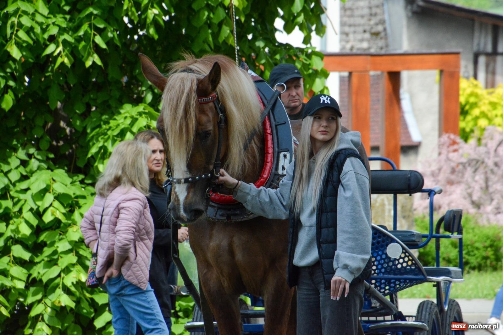 Zdjęcie w galerii na portalu naszraciborz.pl: W Pogrzebieniu ruszyła 148. procesja upamiętniająca wielkie gradobicie z 1877 roku wiadomości z regionu