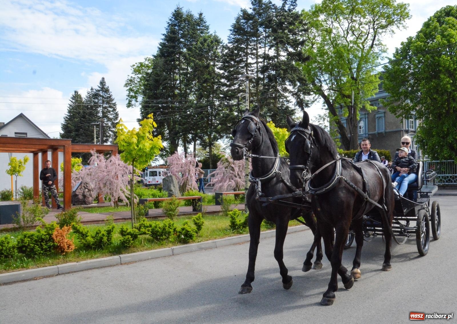 Zdjęcie w galerii na portalu naszraciborz.pl: W Pogrzebieniu ruszyła 148. procesja upamiętniająca wielkie gradobicie z 1877 roku wiadomości z regionu