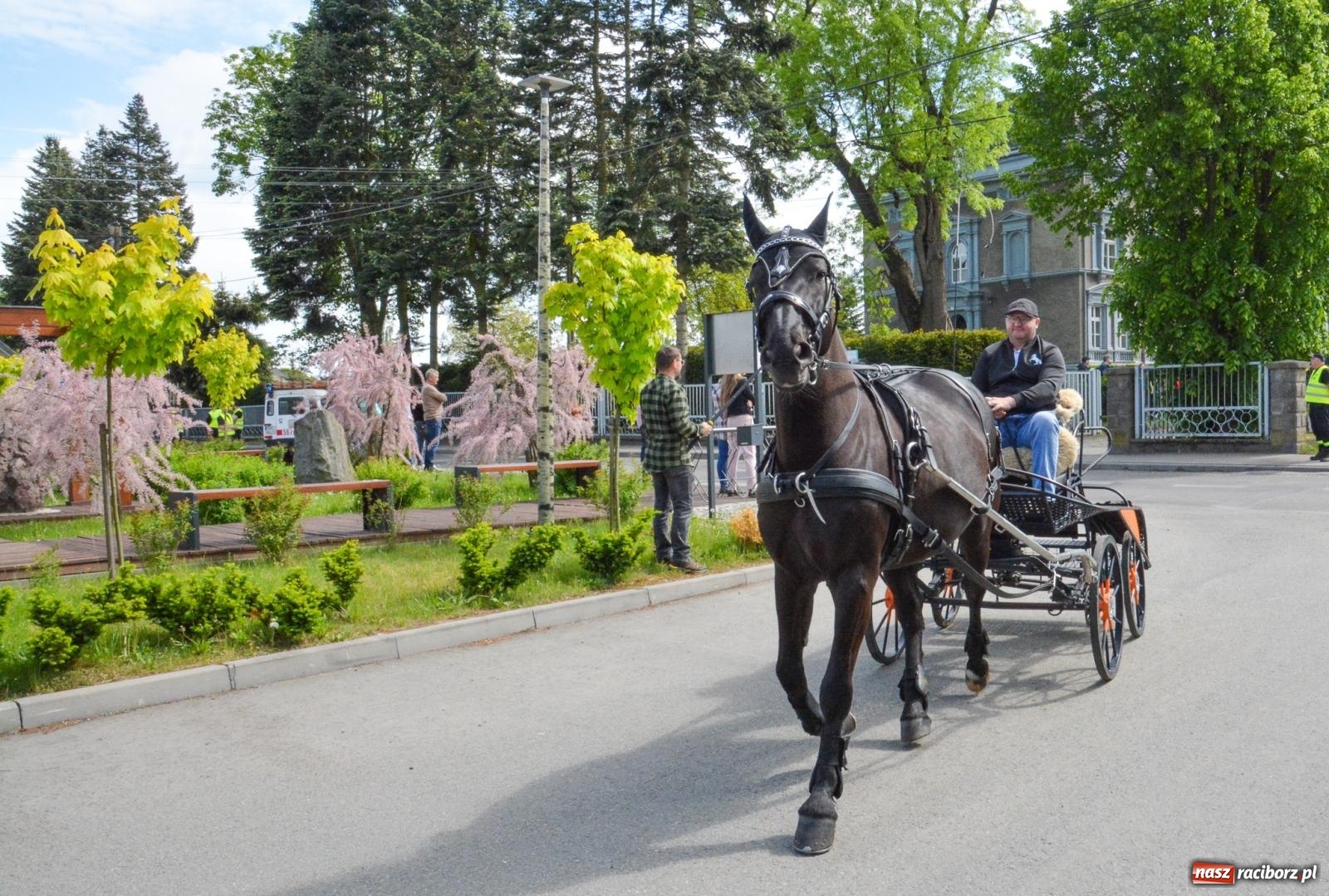 Zdjęcie w galerii na portalu naszraciborz.pl: W Pogrzebieniu ruszyła 148. procesja upamiętniająca wielkie gradobicie z 1877 roku wiadomości z regionu