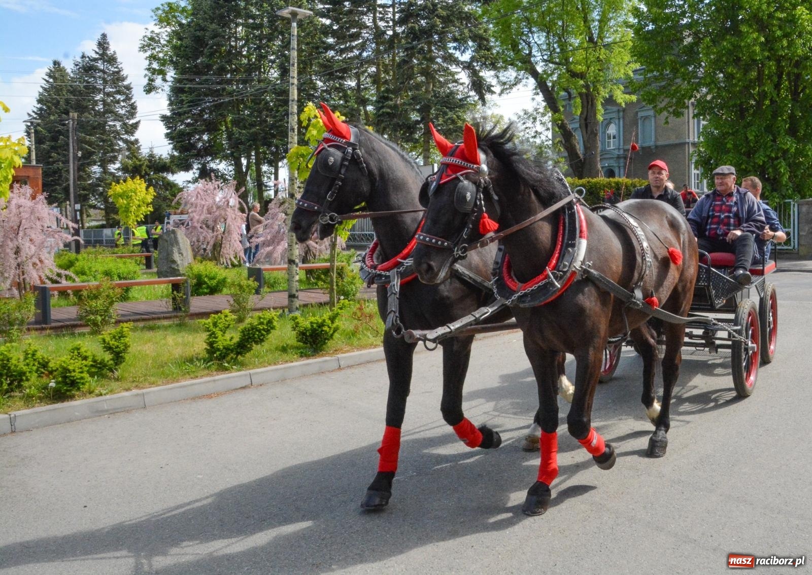 Zdjęcie w galerii na portalu naszraciborz.pl: W Pogrzebieniu ruszyła 148. procesja upamiętniająca wielkie gradobicie z 1877 roku wiadomości z regionu