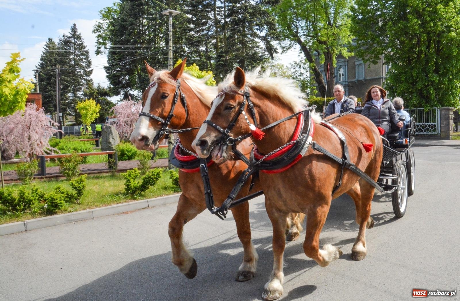 Zdjęcie w galerii na portalu naszraciborz.pl: W Pogrzebieniu ruszyła 148. procesja upamiętniająca wielkie gradobicie z 1877 roku wiadomości z regionu