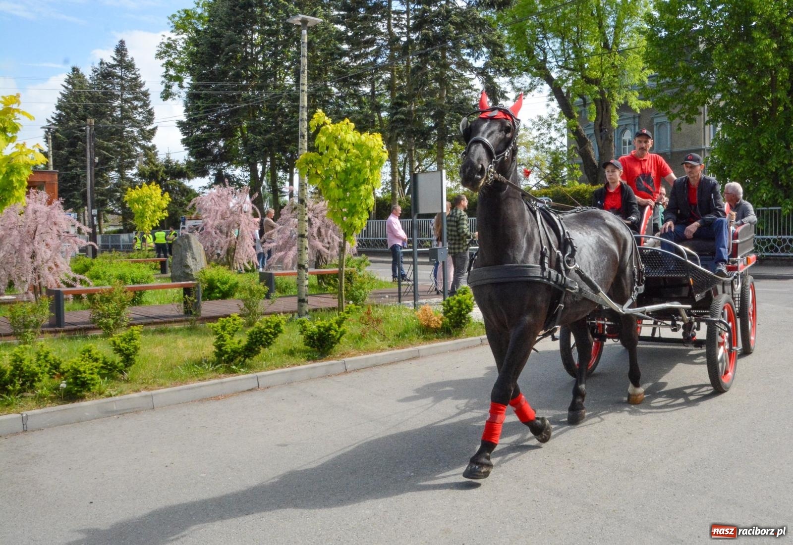 Zdjęcie w galerii na portalu naszraciborz.pl: W Pogrzebieniu ruszyła 148. procesja upamiętniająca wielkie gradobicie z 1877 roku wiadomości z regionu