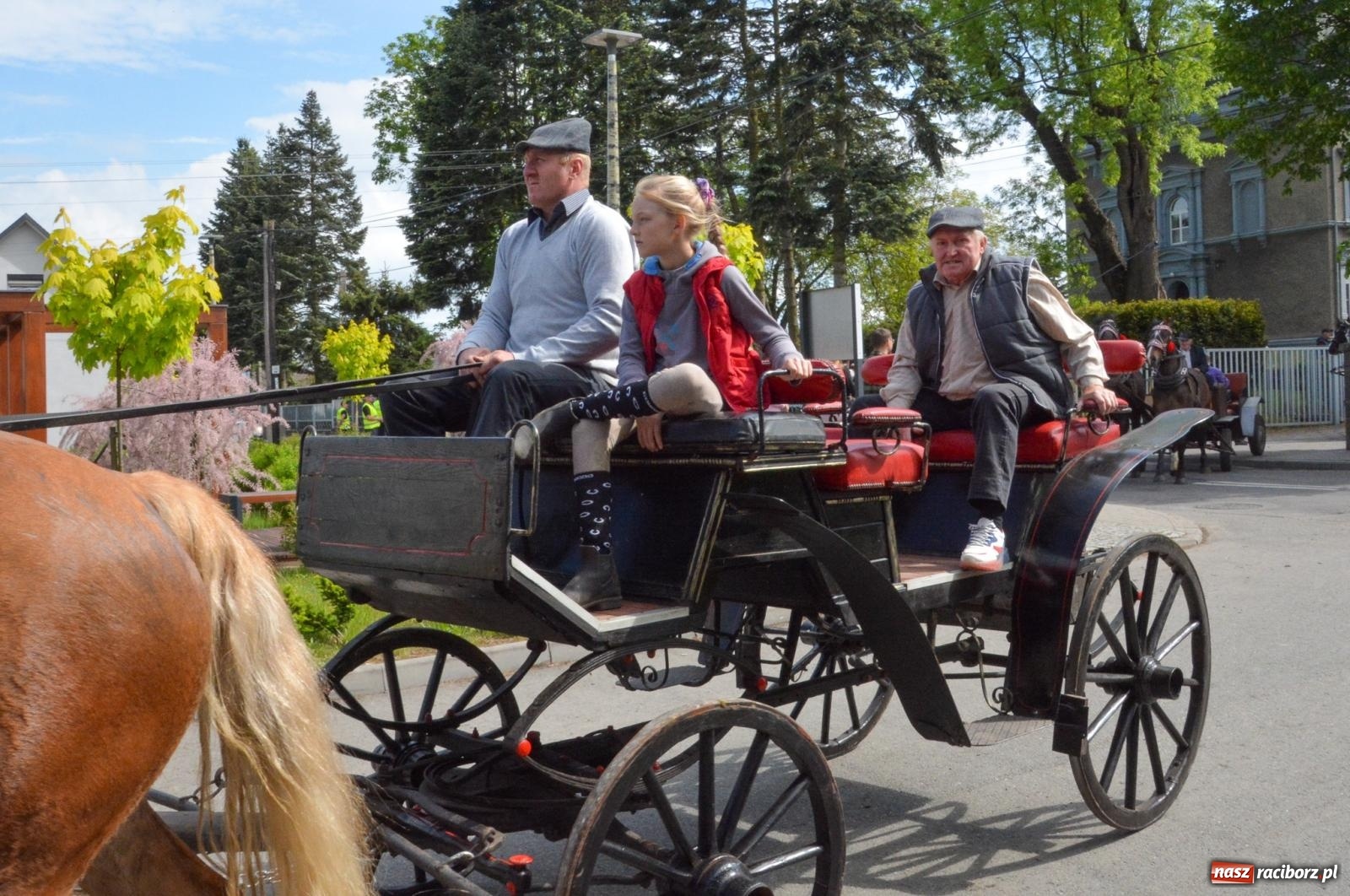Zdjęcie w galerii na portalu naszraciborz.pl: W Pogrzebieniu ruszyła 148. procesja upamiętniająca wielkie gradobicie z 1877 roku wiadomości z regionu