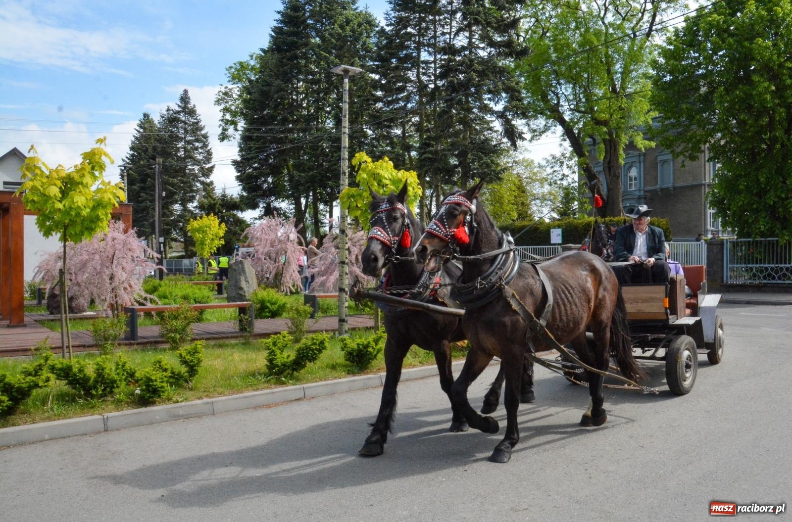 Zdjęcie w galerii na portalu naszraciborz.pl: W Pogrzebieniu ruszyła 148. procesja upamiętniająca wielkie gradobicie z 1877 roku wiadomości z regionu