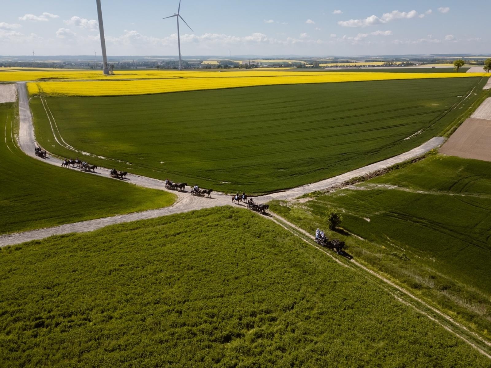 Zdjęcie w galerii na portalu naszraciborz.pl: Majówka w gminie Pietrowice Wielkie okiem drona [FOTO i WIDEO] wiadomości z regionu
