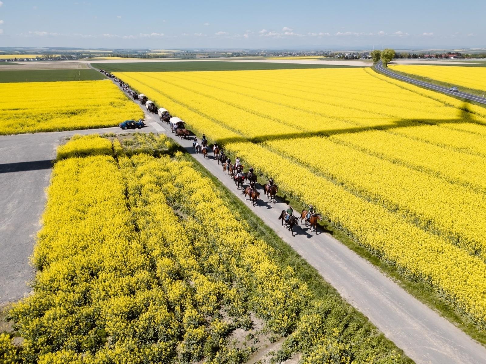 Zdjęcie w galerii na portalu naszraciborz.pl: Majówka w gminie Pietrowice Wielkie okiem drona [FOTO i WIDEO] wiadomości z regionu