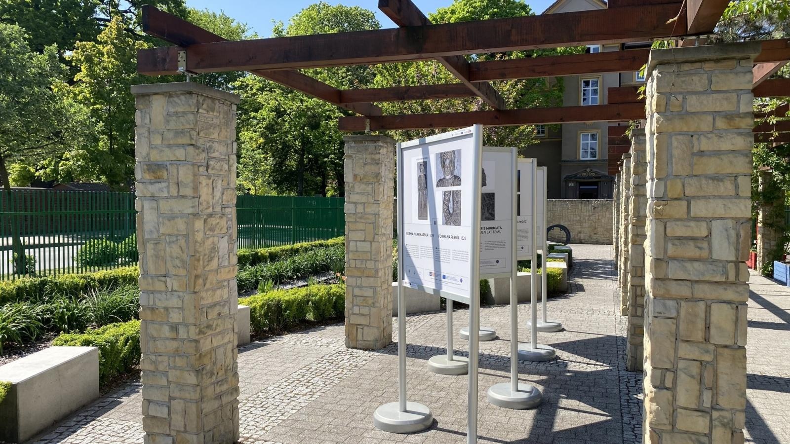 Zdjęcie w galerii na portalu naszraciborz.pl: Niezwykła podróż w czasie i przestrzeni – bez wychodzenia poza Park Jordanowski! wiadomości z regionu