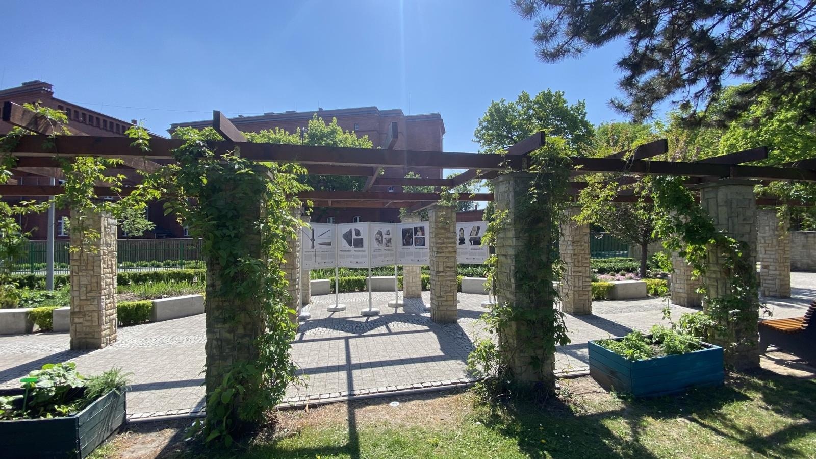 Zdjęcie w galerii na portalu naszraciborz.pl: Niezwykła podróż w czasie i przestrzeni – bez wychodzenia poza Park Jordanowski! wiadomości z regionu