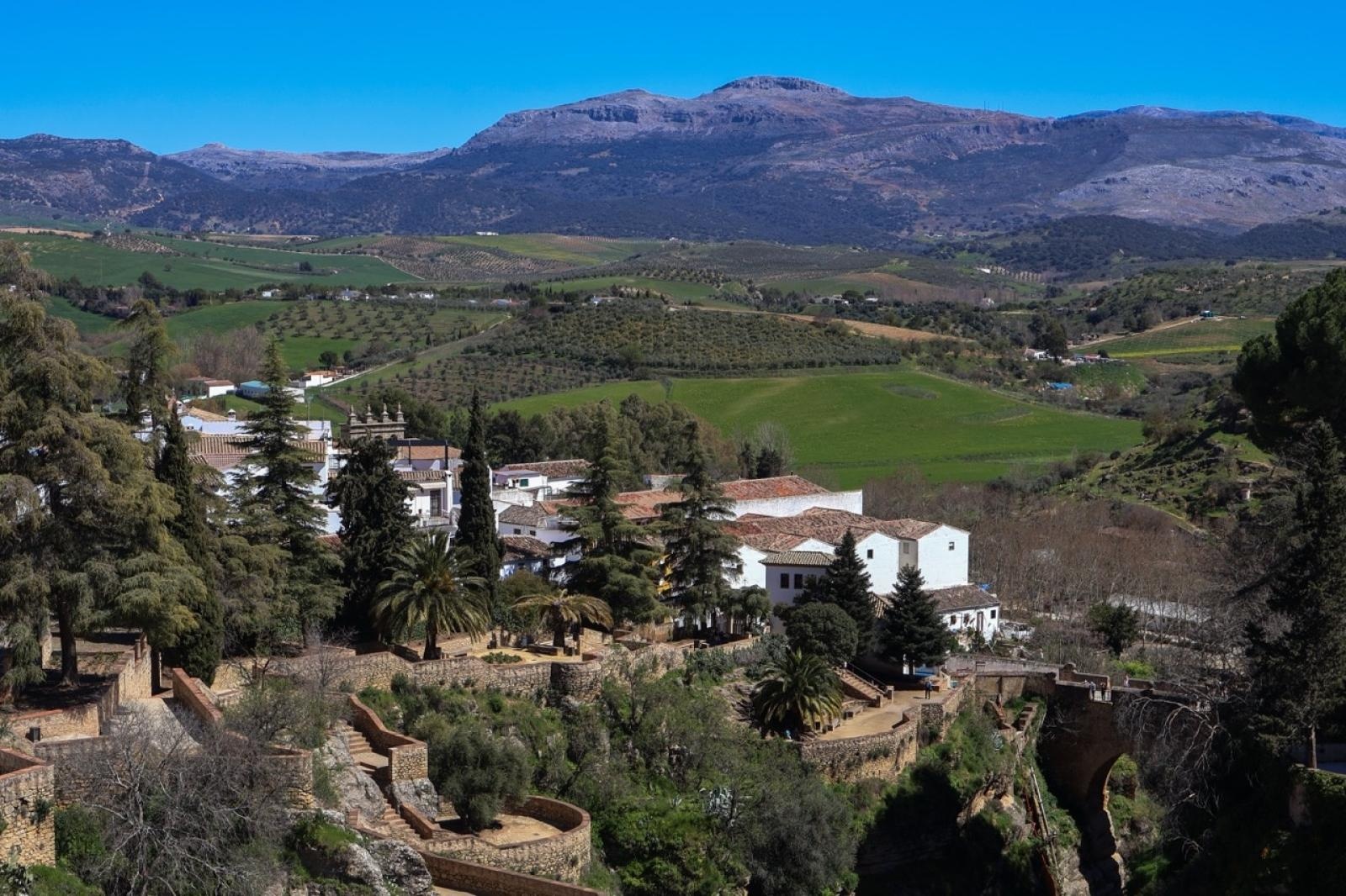 Zdjęcie w galerii na portalu naszraciborz.pl: Zawodowa przygoda w sercu Andaluzji – praktyki uczniów Ekonomika wiadomości z regionu