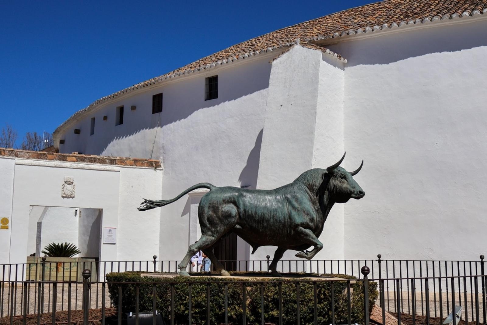 Zdjęcie w galerii na portalu naszraciborz.pl: Zawodowa przygoda w sercu Andaluzji – praktyki uczniów Ekonomika wiadomości z regionu