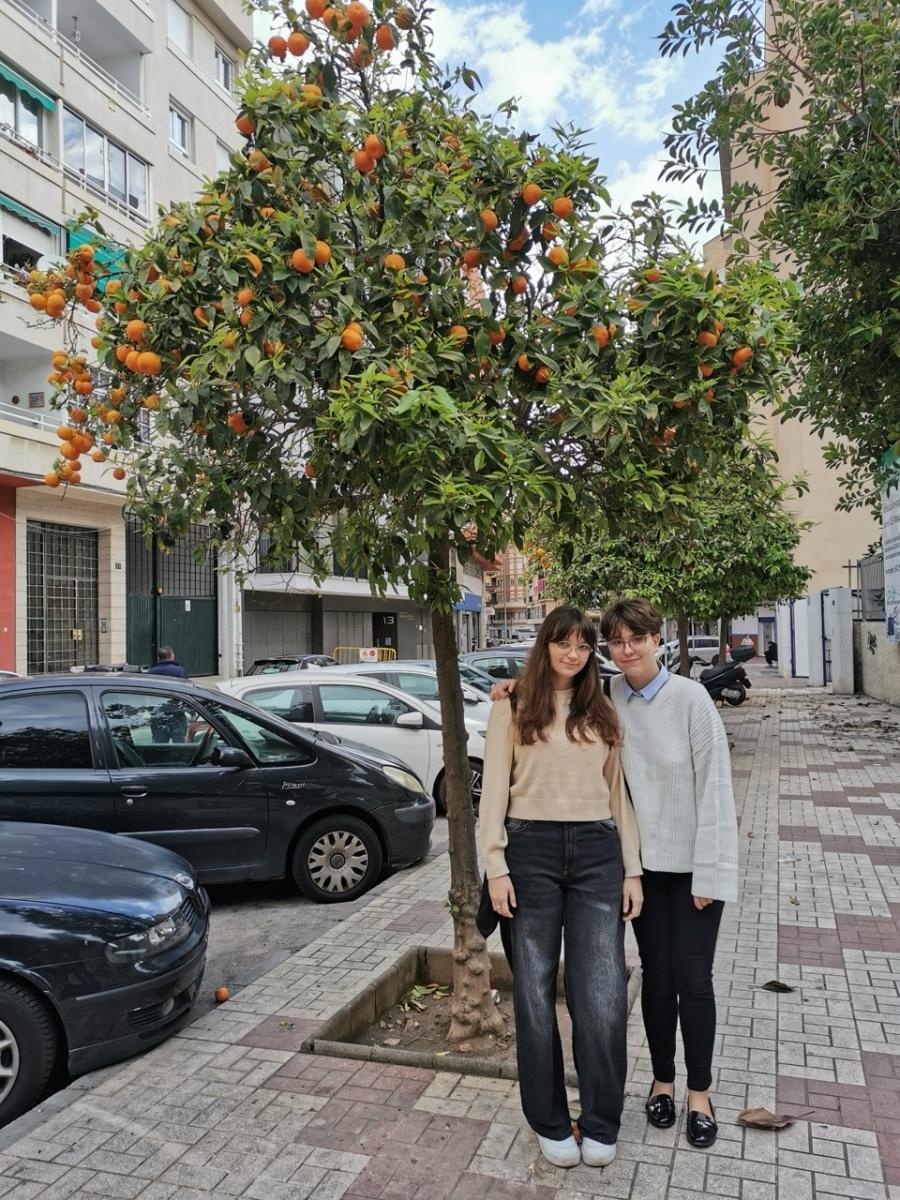 Zdjęcie w galerii na portalu naszraciborz.pl: Zawodowa przygoda w sercu Andaluzji – praktyki uczniów Ekonomika wiadomości z regionu