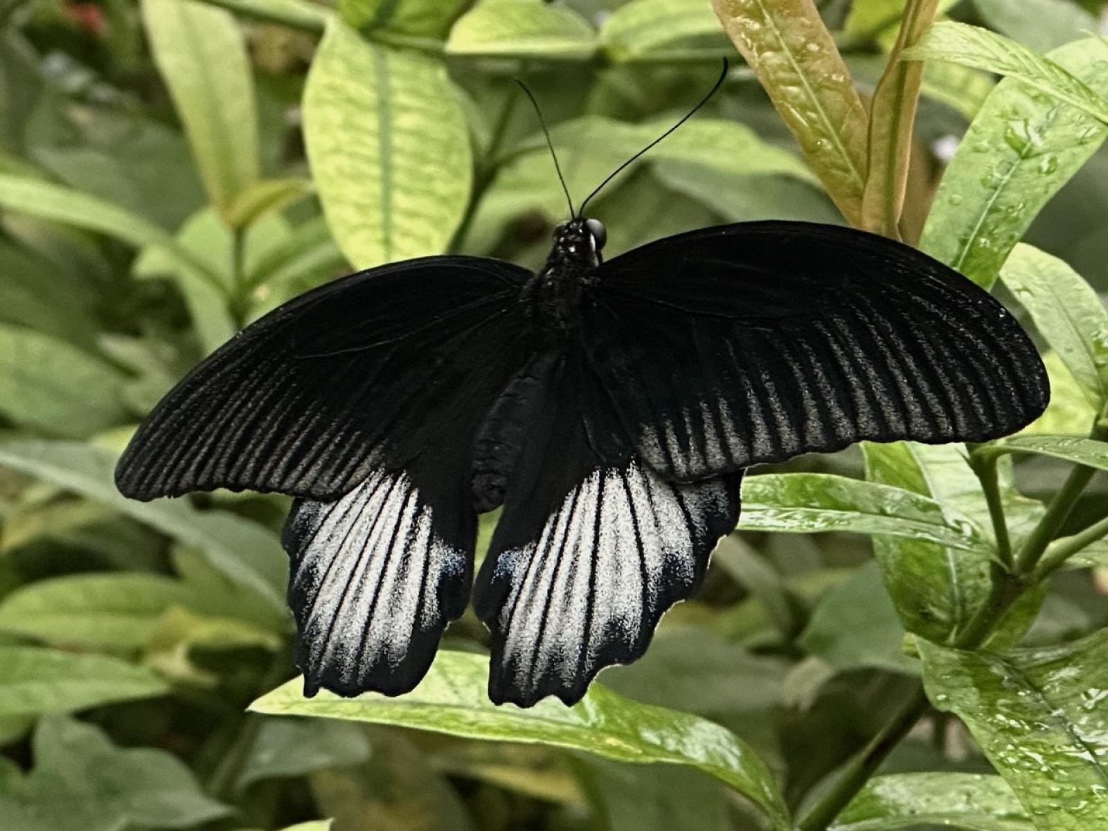 Zdjęcie w galerii na portalu naszraciborz.pl: Zawodowa przygoda w sercu Andaluzji – praktyki uczniów Ekonomika wiadomości z regionu