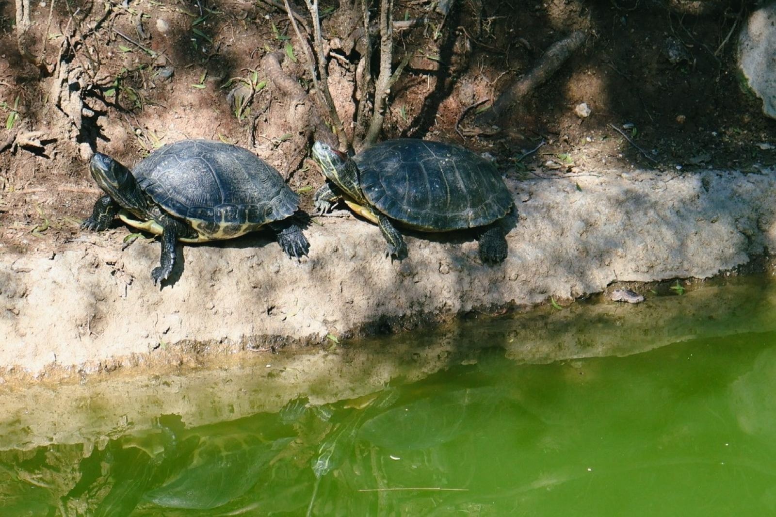 Zdjęcie w galerii na portalu naszraciborz.pl: Zawodowa przygoda w sercu Andaluzji – praktyki uczniów Ekonomika wiadomości z regionu
