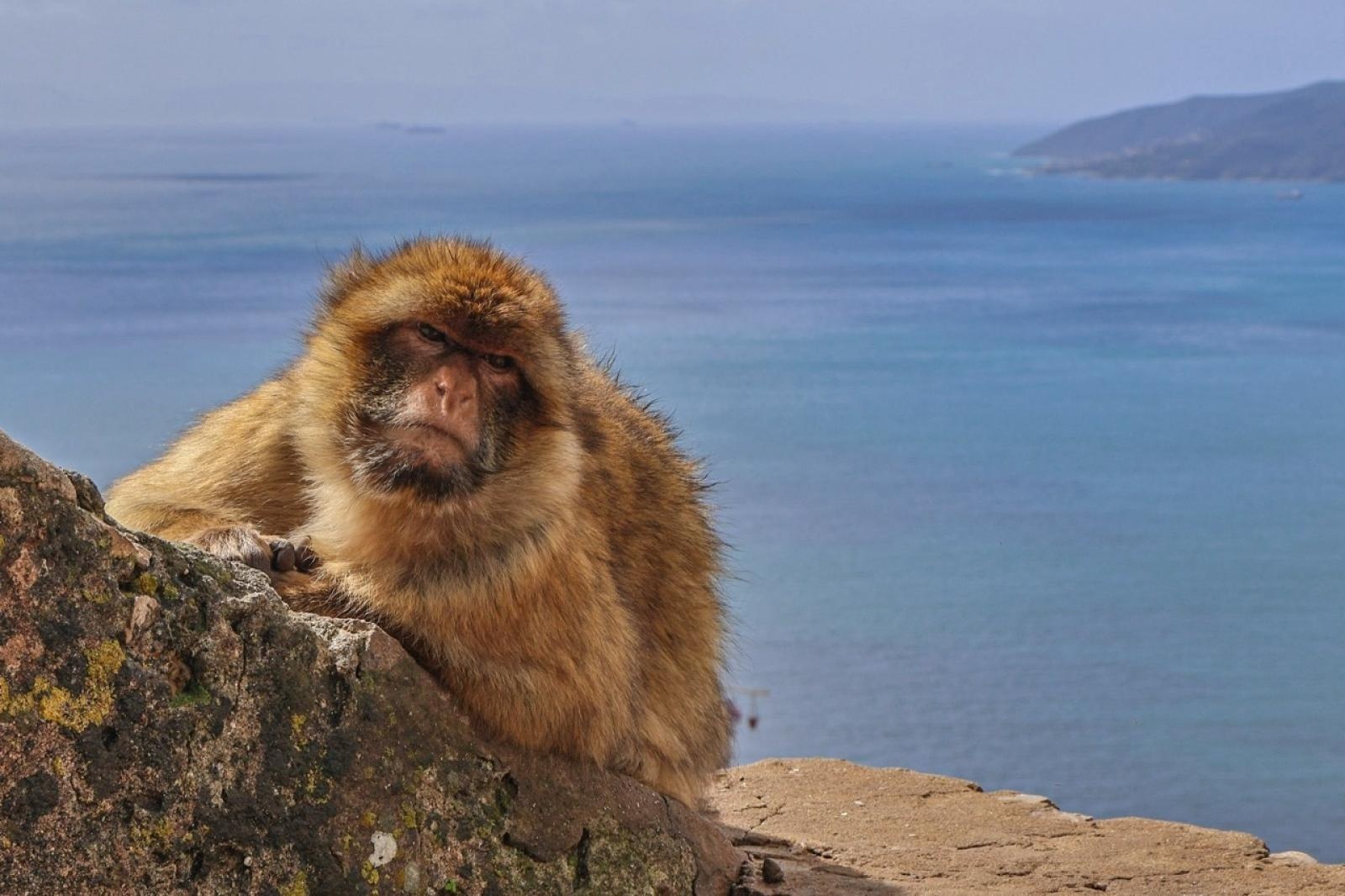 Zdjęcie w galerii na portalu naszraciborz.pl: Zawodowa przygoda w sercu Andaluzji – praktyki uczniów Ekonomika wiadomości z regionu