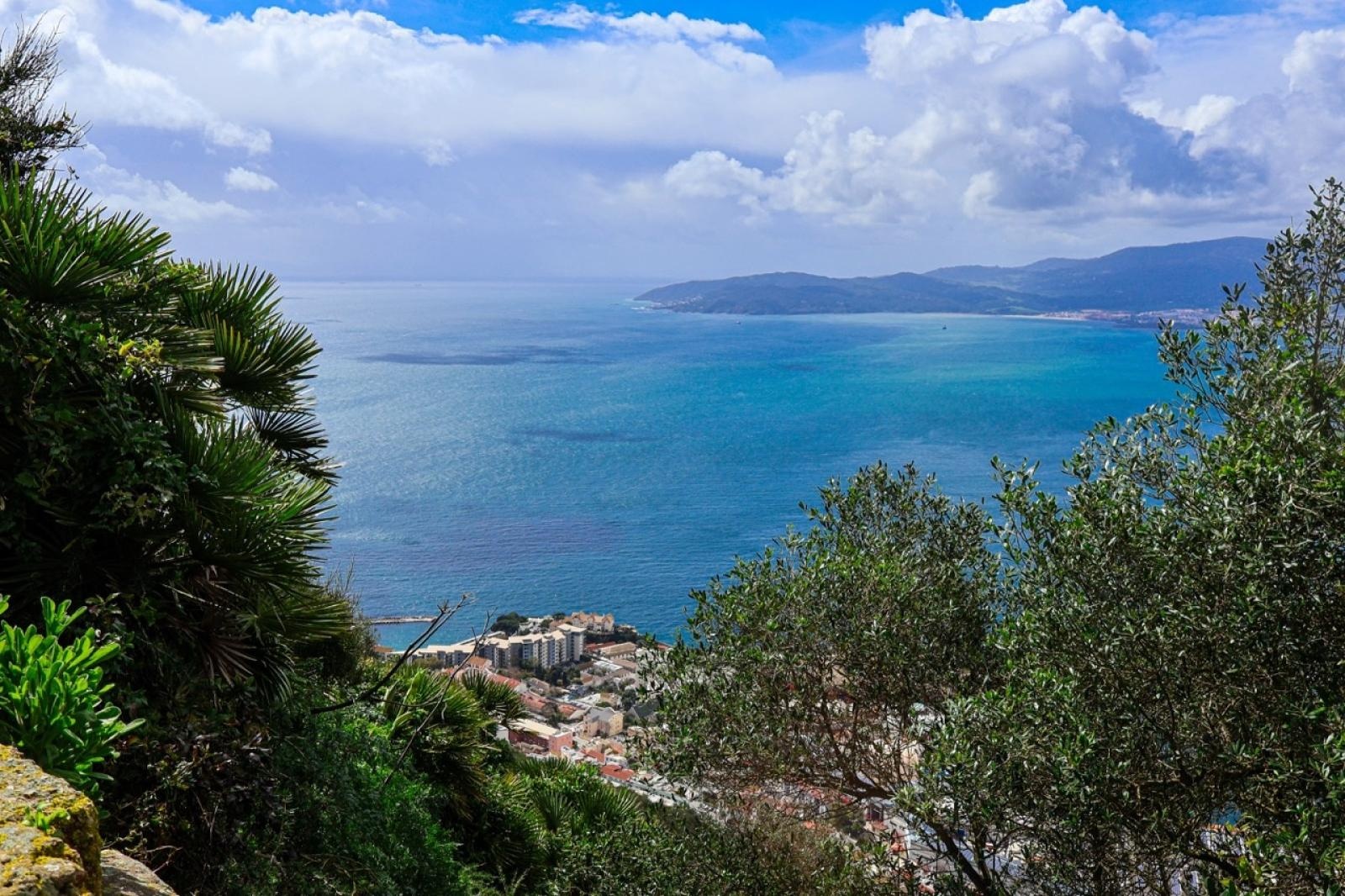 Zdjęcie w galerii na portalu naszraciborz.pl: Zawodowa przygoda w sercu Andaluzji – praktyki uczniów Ekonomika wiadomości z regionu