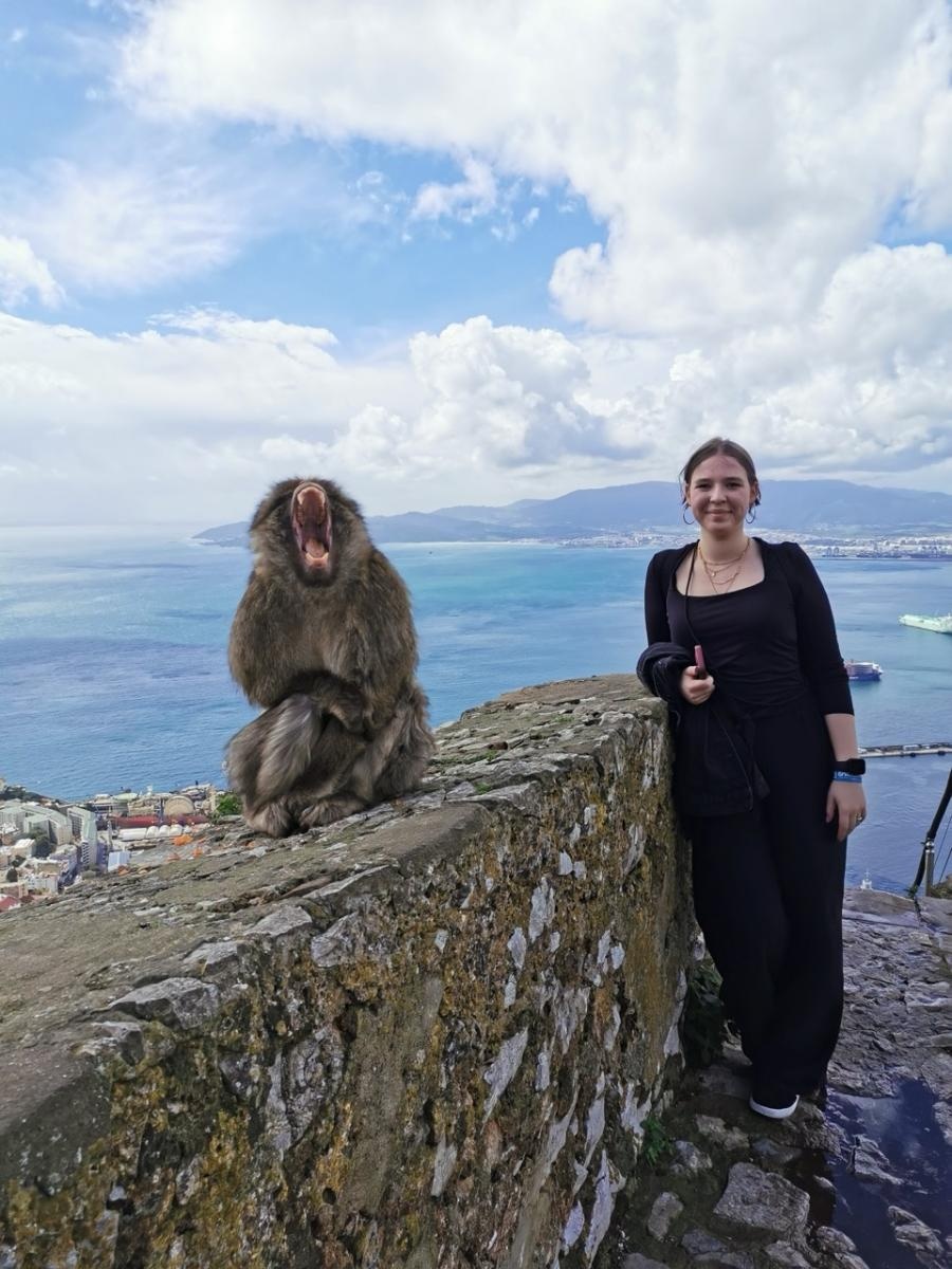 Zdjęcie w galerii na portalu naszraciborz.pl: Zawodowa przygoda w sercu Andaluzji – praktyki uczniów Ekonomika wiadomości z regionu