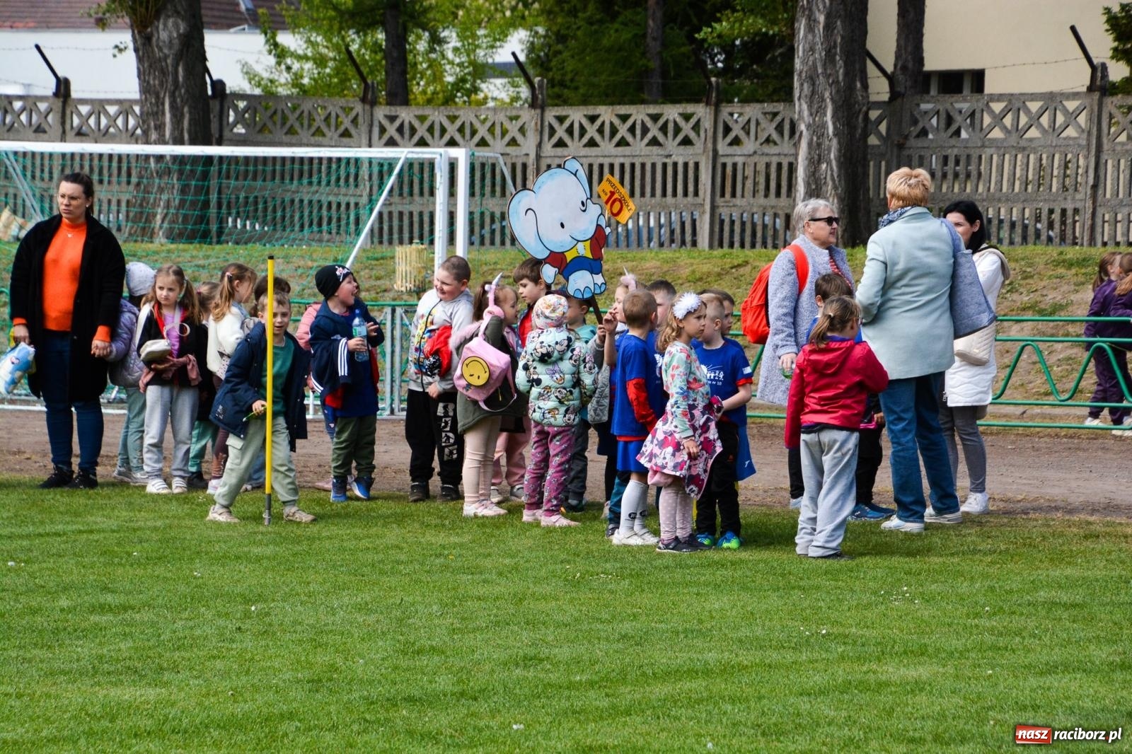 Zdjęcie w galerii na portalu naszraciborz.pl: Turniej Puchar Juniora 2025 - sportowa integracja najmłodszych z Junior Trening i ANS wiadomości z regionu