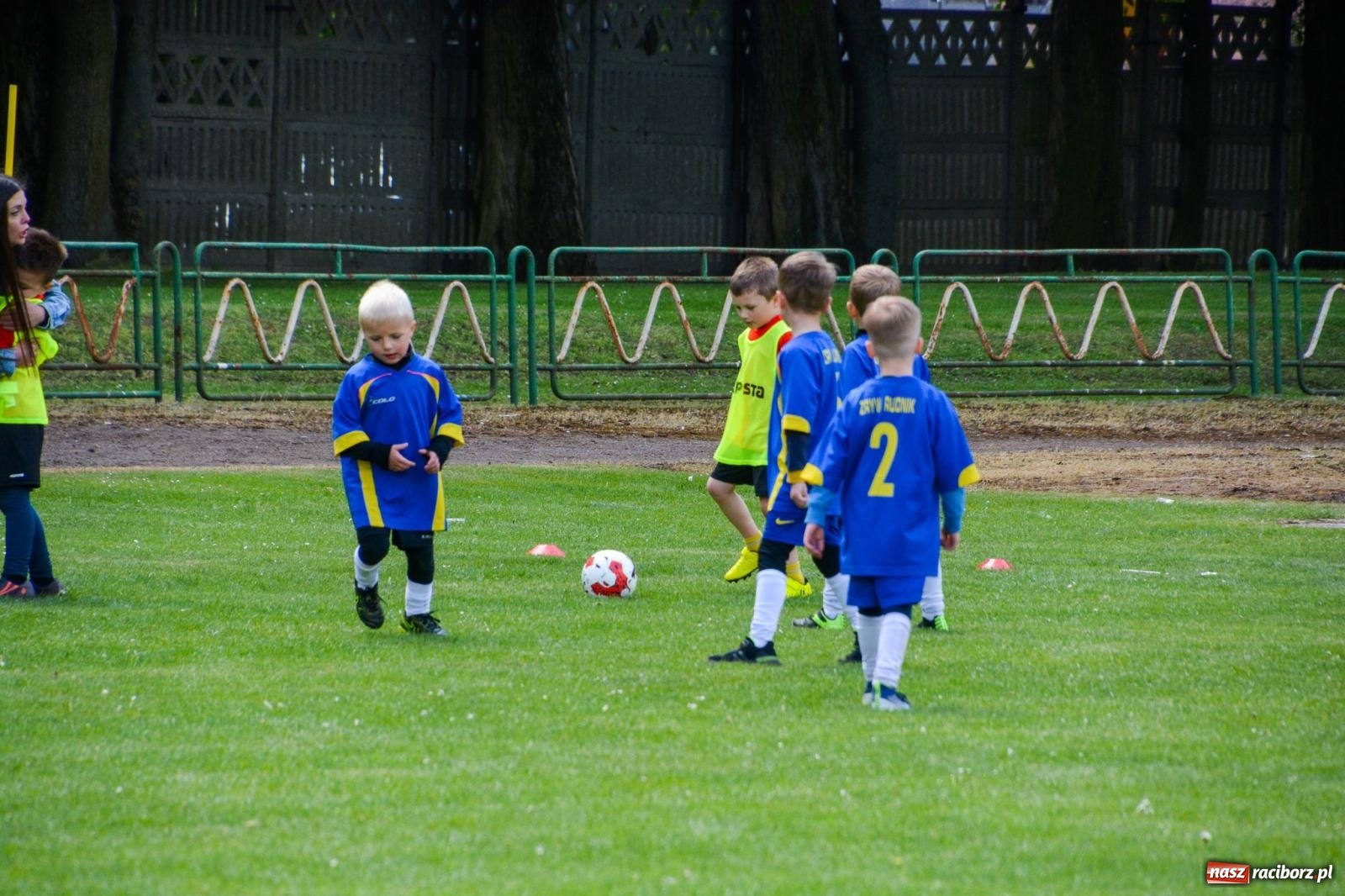 Zdjęcie w galerii na portalu naszraciborz.pl: Turniej Puchar Juniora 2025 - sportowa integracja najmłodszych z Junior Trening i ANS wiadomości z regionu