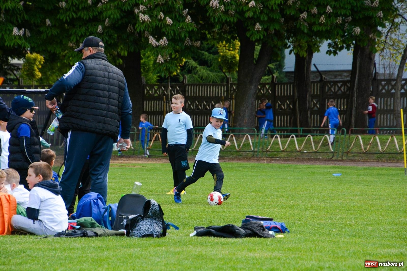 Zdjęcie w galerii na portalu naszraciborz.pl: Turniej Puchar Juniora 2025 - sportowa integracja najmłodszych z Junior Trening i ANS wiadomości z regionu