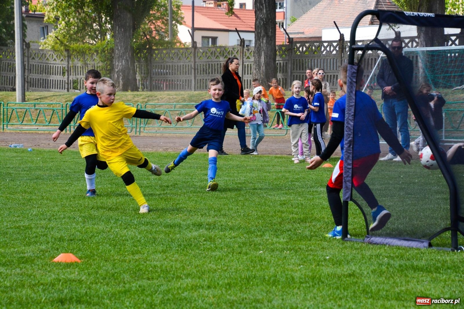 Zdjęcie w galerii na portalu naszraciborz.pl: Turniej Puchar Juniora 2025 - sportowa integracja najmłodszych z Junior Trening i ANS wiadomości z regionu