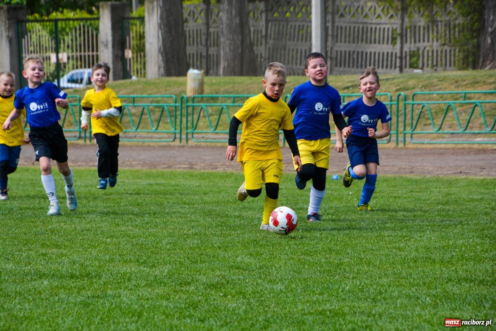 Zdjęcie w galerii na portalu naszraciborz.pl: Turniej Puchar Juniora 2025 - sportowa integracja najmłodszych z Junior Trening i ANS wiadomości z regionu