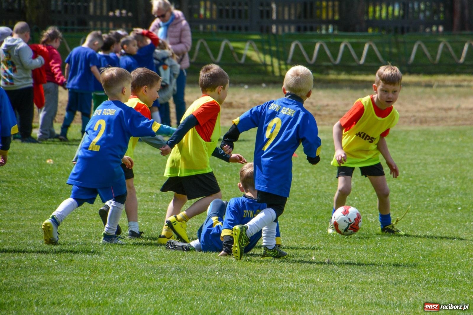 Zdjęcie w galerii na portalu naszraciborz.pl: Turniej Puchar Juniora 2025 - sportowa integracja najmłodszych z Junior Trening i ANS wiadomości z regionu