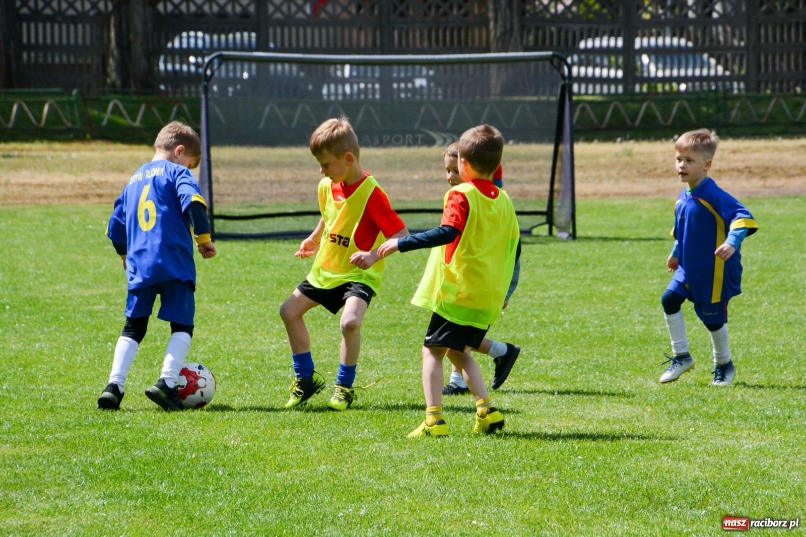 Zdjęcie w galerii na portalu naszraciborz.pl: Turniej Puchar Juniora 2025 - sportowa integracja najmłodszych z Junior Trening i ANS wiadomości z regionu