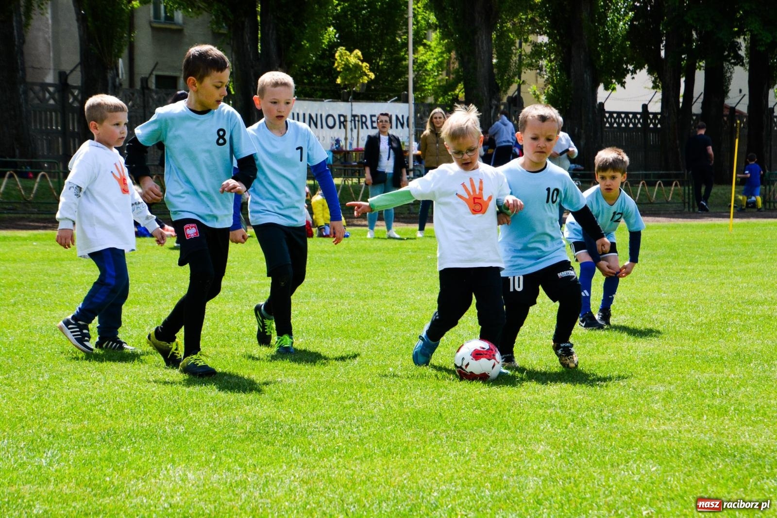 Zdjęcie w galerii na portalu naszraciborz.pl: Turniej Puchar Juniora 2025 - sportowa integracja najmłodszych z Junior Trening i ANS wiadomości z regionu