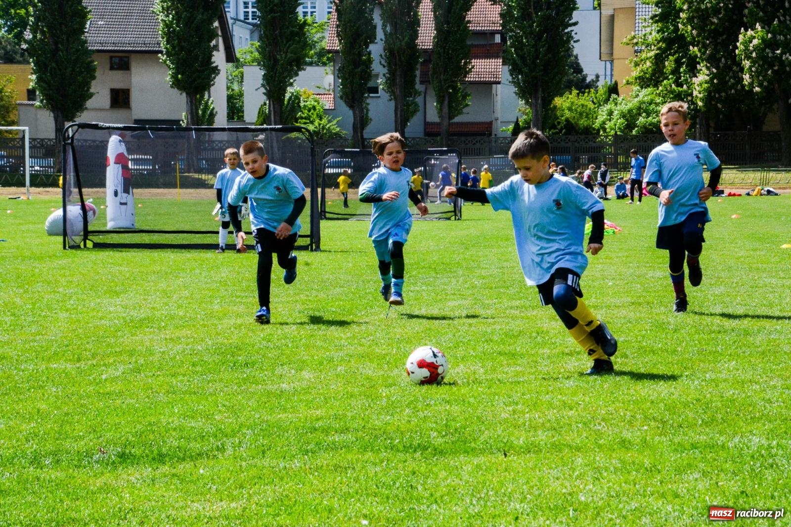 Zdjęcie w galerii na portalu naszraciborz.pl: Turniej Puchar Juniora 2025 - sportowa integracja najmłodszych z Junior Trening i ANS wiadomości z regionu