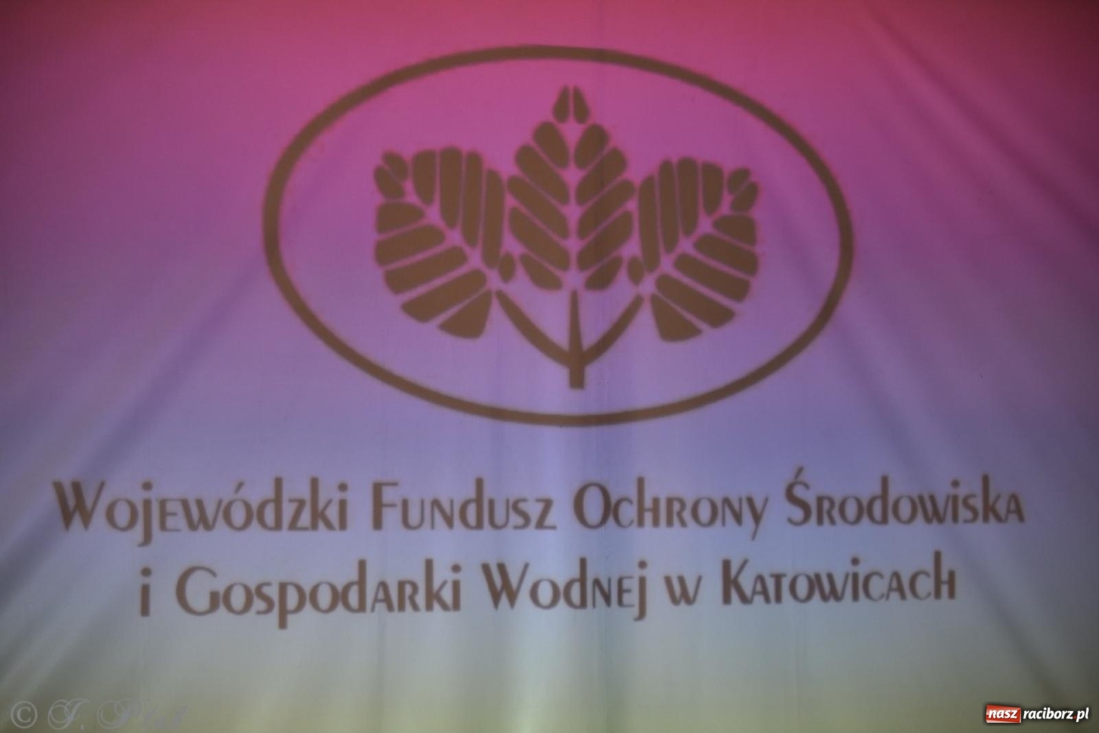 Zdjęcie w galerii na portalu naszraciborz.pl: 20 lat promowania ekologii. Ruszyła Eko-wystawa 2025 ze wsparciem WFOŚiGW w Katowicach wiadomości z regionu