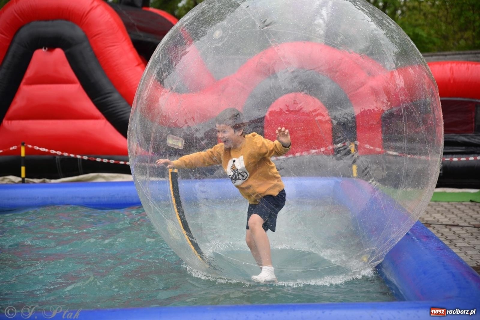 Zdjęcie w galerii na portalu naszraciborz.pl: 20 lat promowania ekologii. Ruszyła Eko-wystawa 2025 ze wsparciem WFOŚiGW w Katowicach wiadomości z regionu