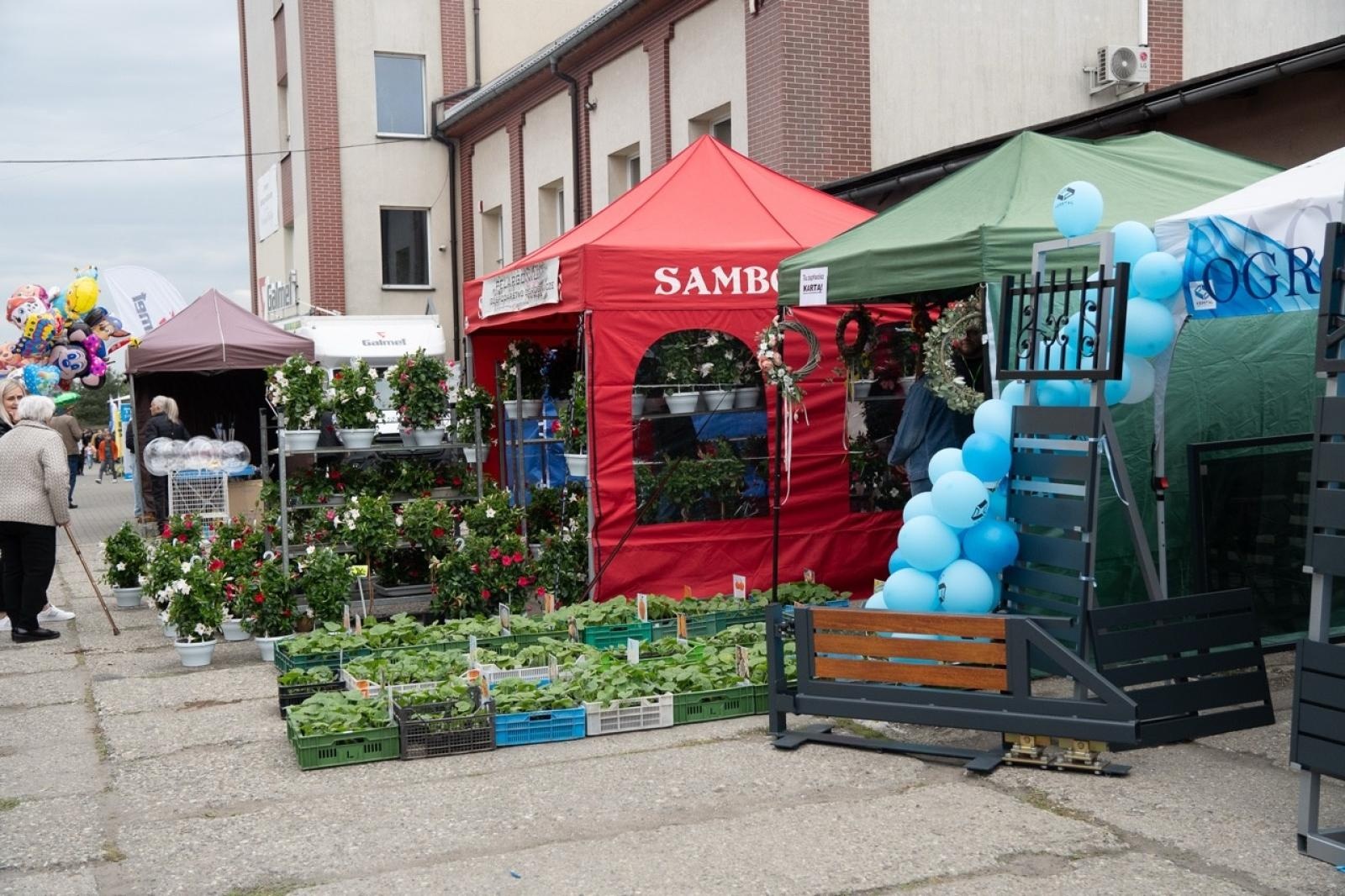 Zdjęcie w galerii na portalu naszraciborz.pl: Niedziela pełna wiedzy, ekologii i zabawy. Pietrowice Wielkie zapraszają wiadomości z regionu