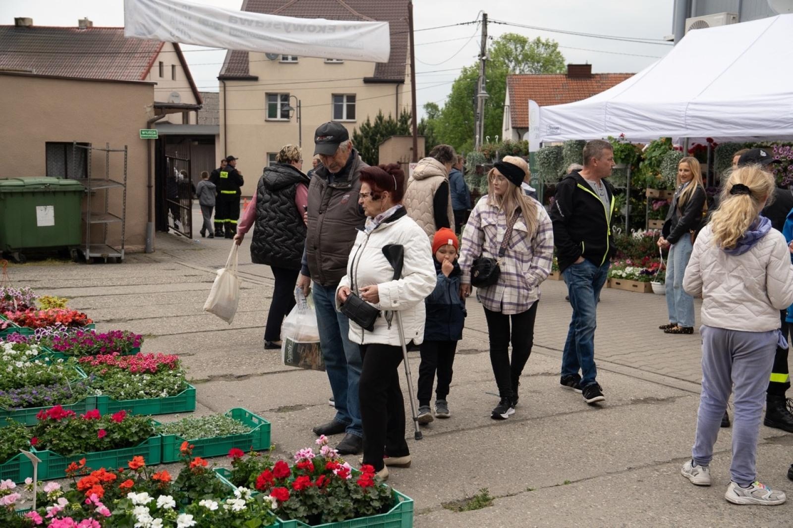 Zdjęcie w galerii na portalu naszraciborz.pl: Niedziela pełna wiedzy, ekologii i zabawy. Pietrowice Wielkie zapraszają wiadomości z regionu