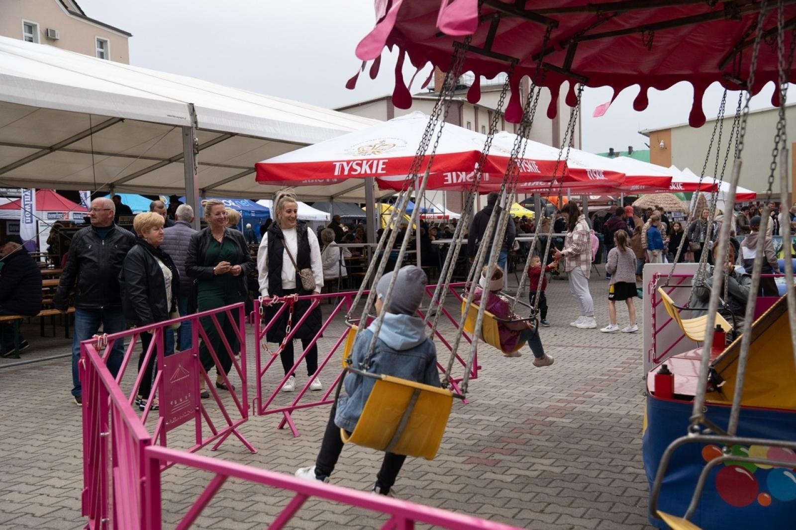 Zdjęcie w galerii na portalu naszraciborz.pl: Niedziela pełna wiedzy, ekologii i zabawy. Pietrowice Wielkie zapraszają wiadomości z regionu