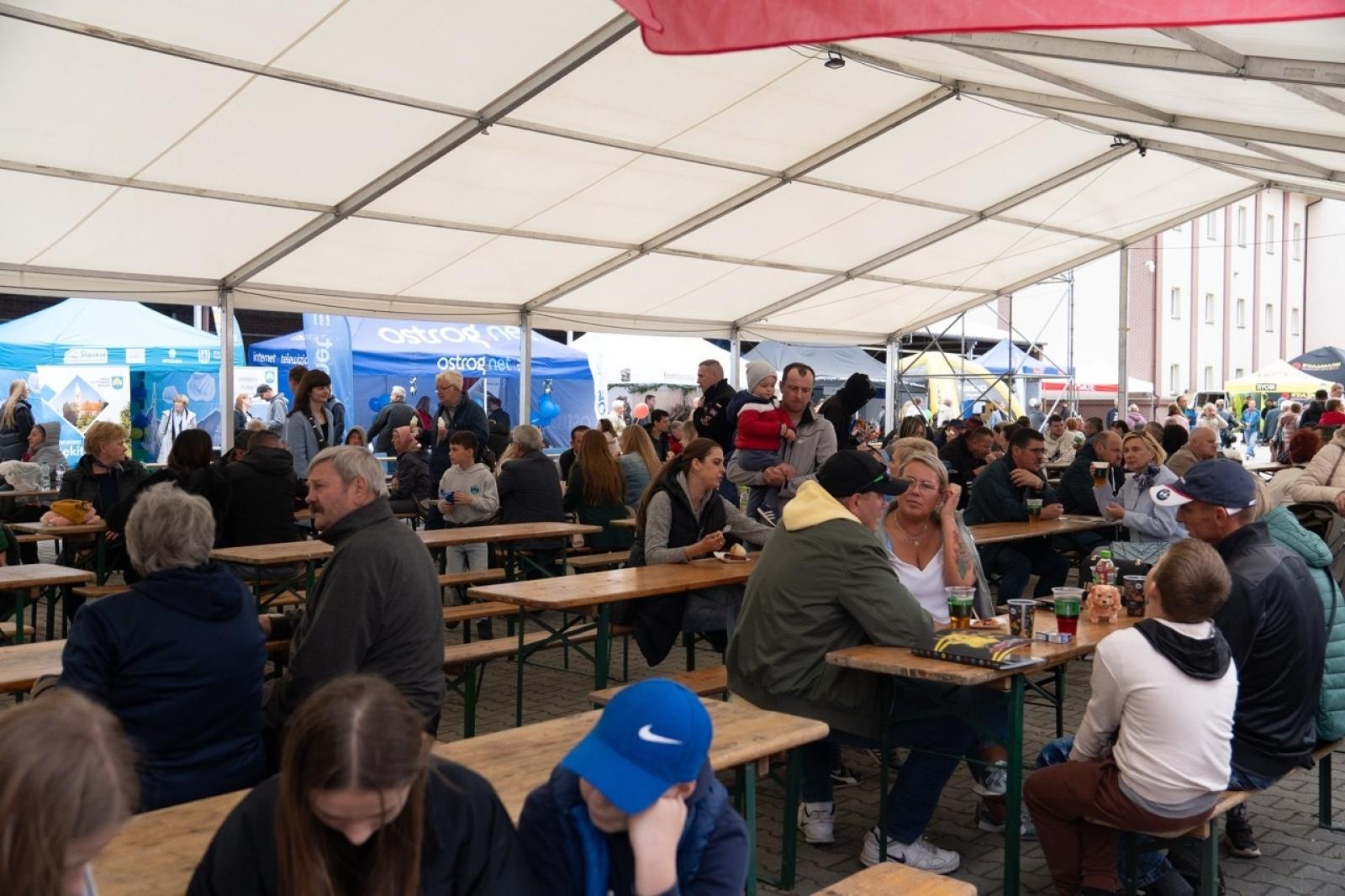 Zdjęcie w galerii na portalu naszraciborz.pl: Niedziela pełna wiedzy, ekologii i zabawy. Pietrowice Wielkie zapraszają wiadomości z regionu