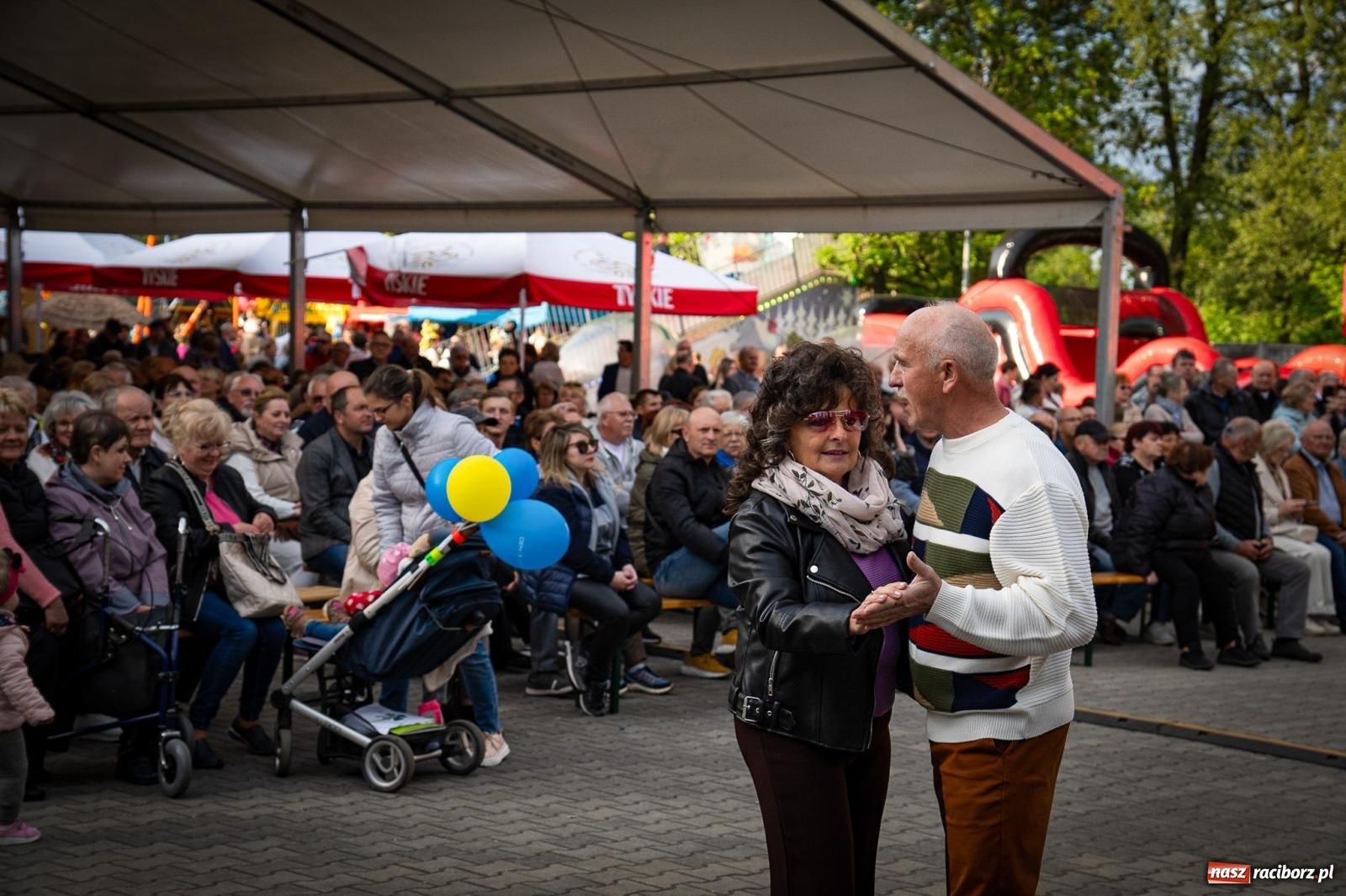 Zdjęcie w galerii na portalu naszraciborz.pl: Drugi dzień Ekowystawy w Pietrowicach Wielkich pełen atrakcji. Na finał zagrał Enej [FOTO i WIDEO] wiadomości z regionu