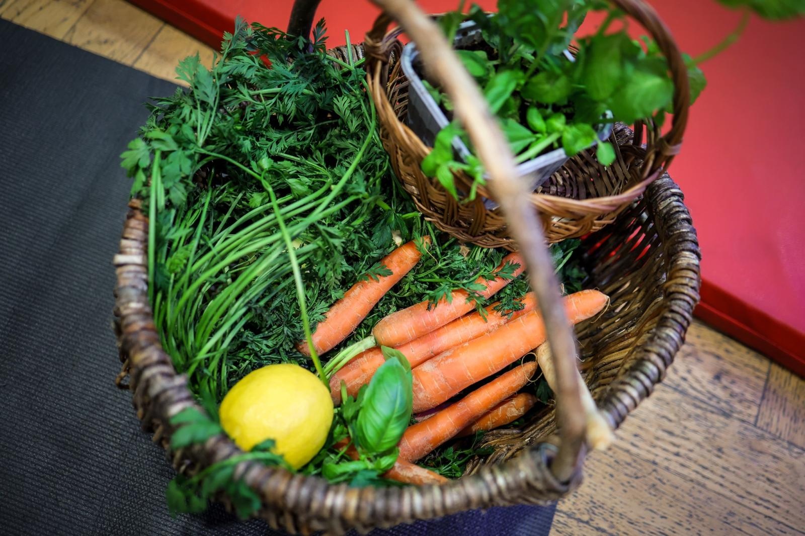 Zdjęcie w galerii na portalu naszraciborz.pl: Niech muzyka stanie się pierwszym językiem Twojego dziecka! MALUCHY W KRAINIE DŹWIĘKU zapraszają na koncert! wiadomości z regionu
