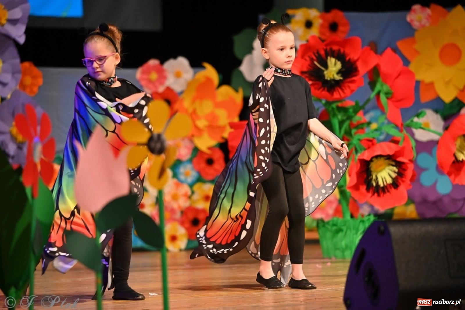 Zdjęcie w galerii na portalu naszraciborz.pl: Mali artyści na scenie RCK – gala mini-festiwalu i przeglądu Mali Poligloci wiadomości z regionu