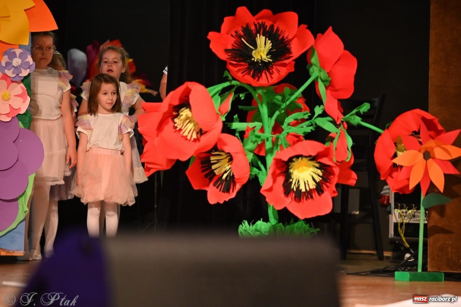 Zdjęcie w galerii na portalu naszraciborz.pl: Mali artyści na scenie RCK – gala mini-festiwalu i przeglądu Mali Poligloci wiadomości z regionu