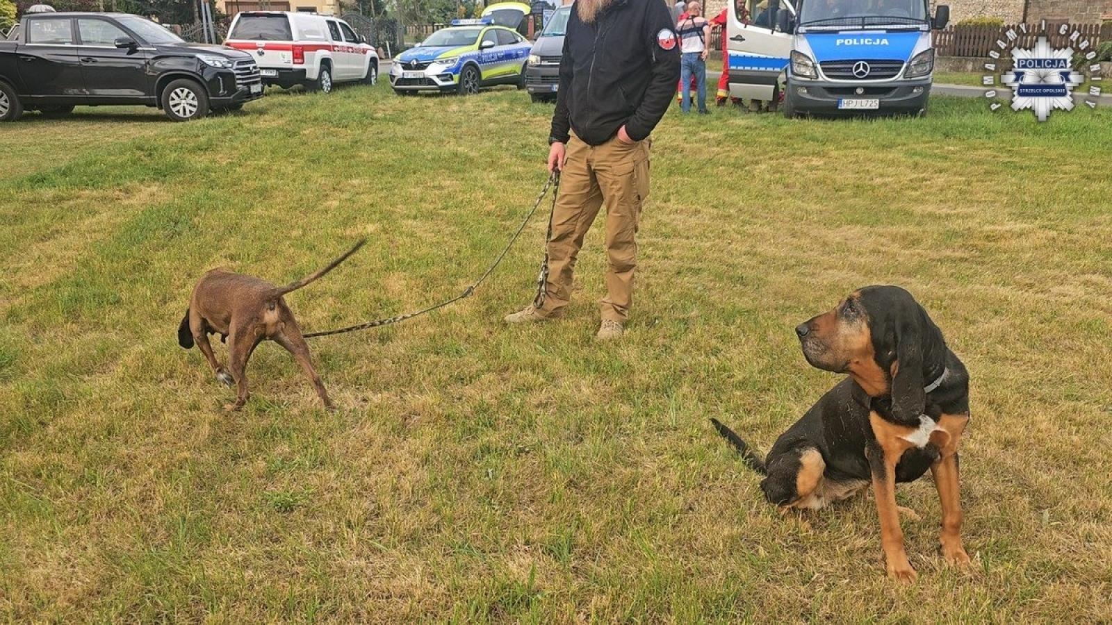 Zdjęcie w galerii na portalu naszraciborz.pl: Zatrzymano 24-latka z Żor, u którego przebywała 11-letnia Patrycja – Child Alert odwołany wiadomości z regionu