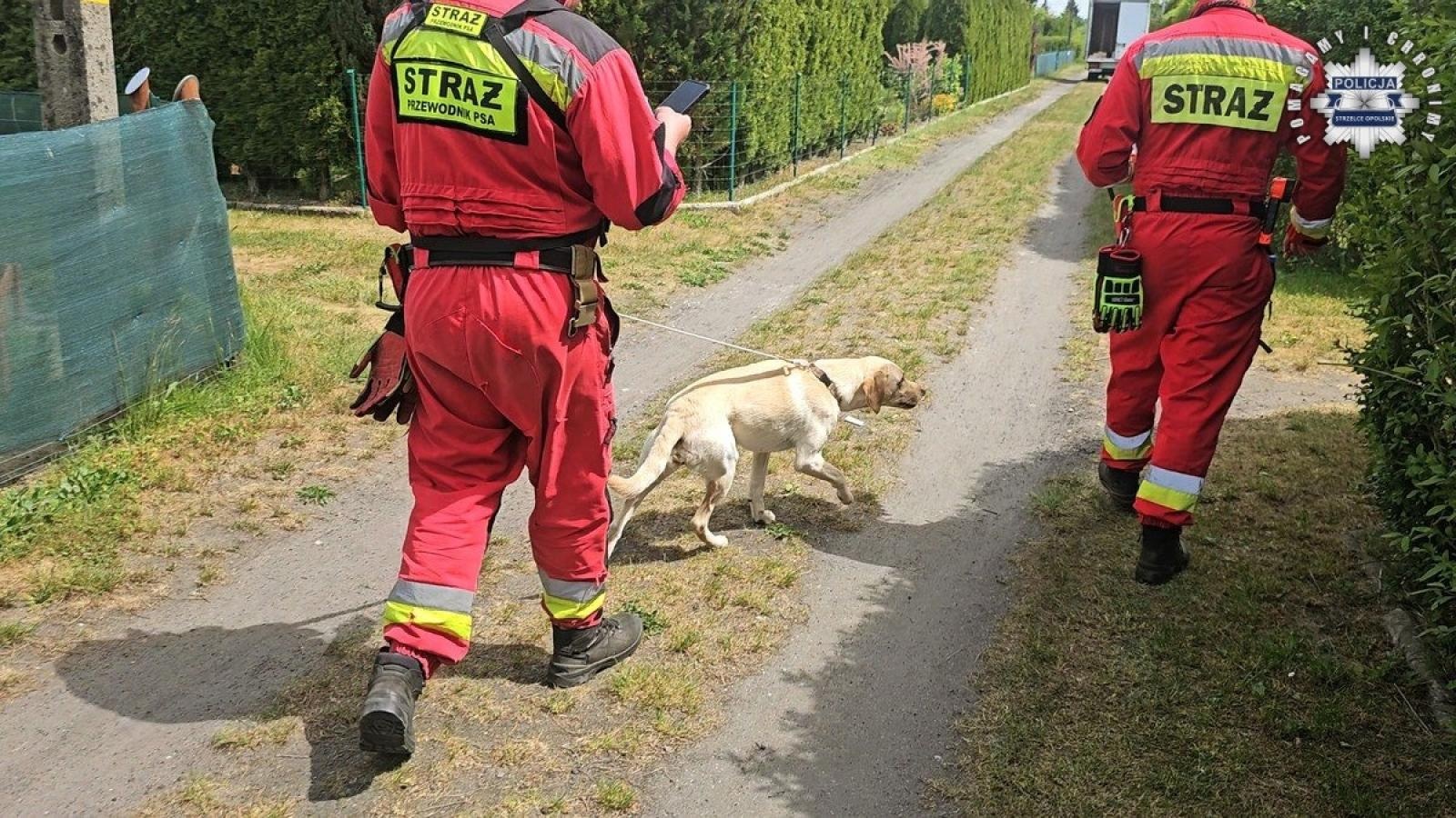 Zdjęcie w galerii na portalu naszraciborz.pl: Zatrzymano 24-latka z Żor, u którego przebywała 11-letnia Patrycja – Child Alert odwołany wiadomości z regionu