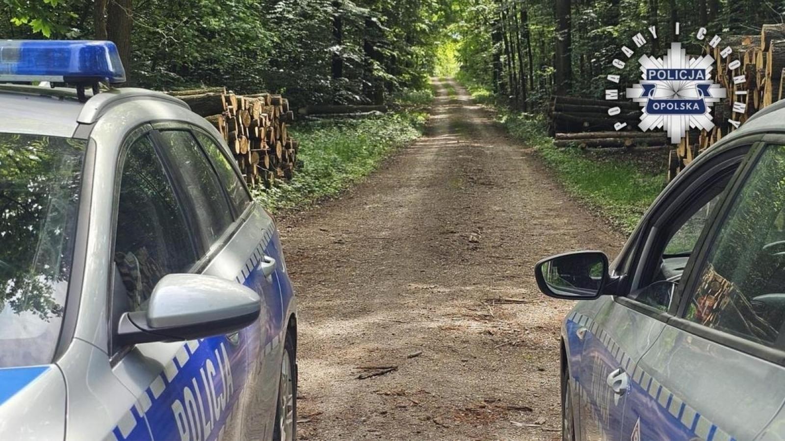 Zdjęcie w galerii na portalu naszraciborz.pl: Zatrzymano 24-latka z Żor, u którego przebywała 11-letnia Patrycja – Child Alert odwołany wiadomości z regionu