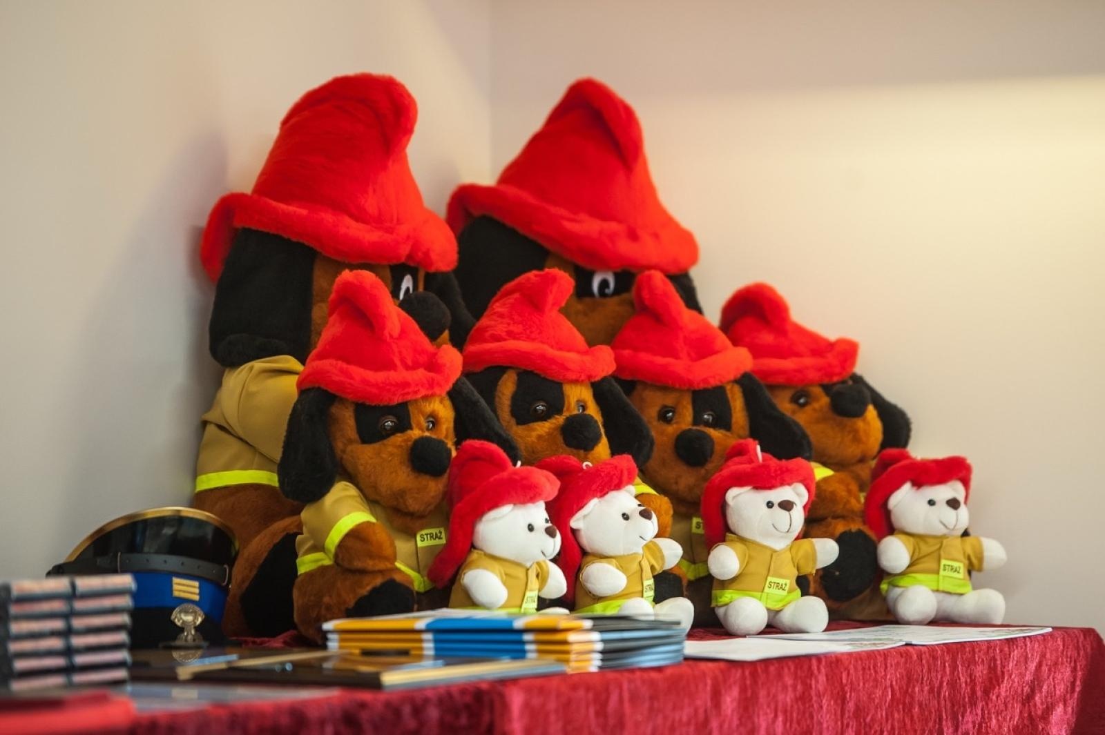 Zdjęcie w galerii na portalu naszraciborz.pl: Uroczystość z okazji Dnia Strażaka na Zamku Piastowskim [FOTO i WIDEO] wiadomości z regionu