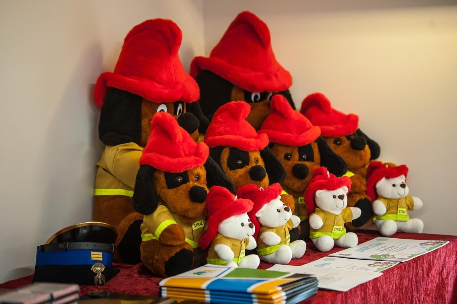 Zdjęcie w galerii na portalu naszraciborz.pl: Uroczystość z okazji Dnia Strażaka na Zamku Piastowskim [FOTO i WIDEO] wiadomości z regionu