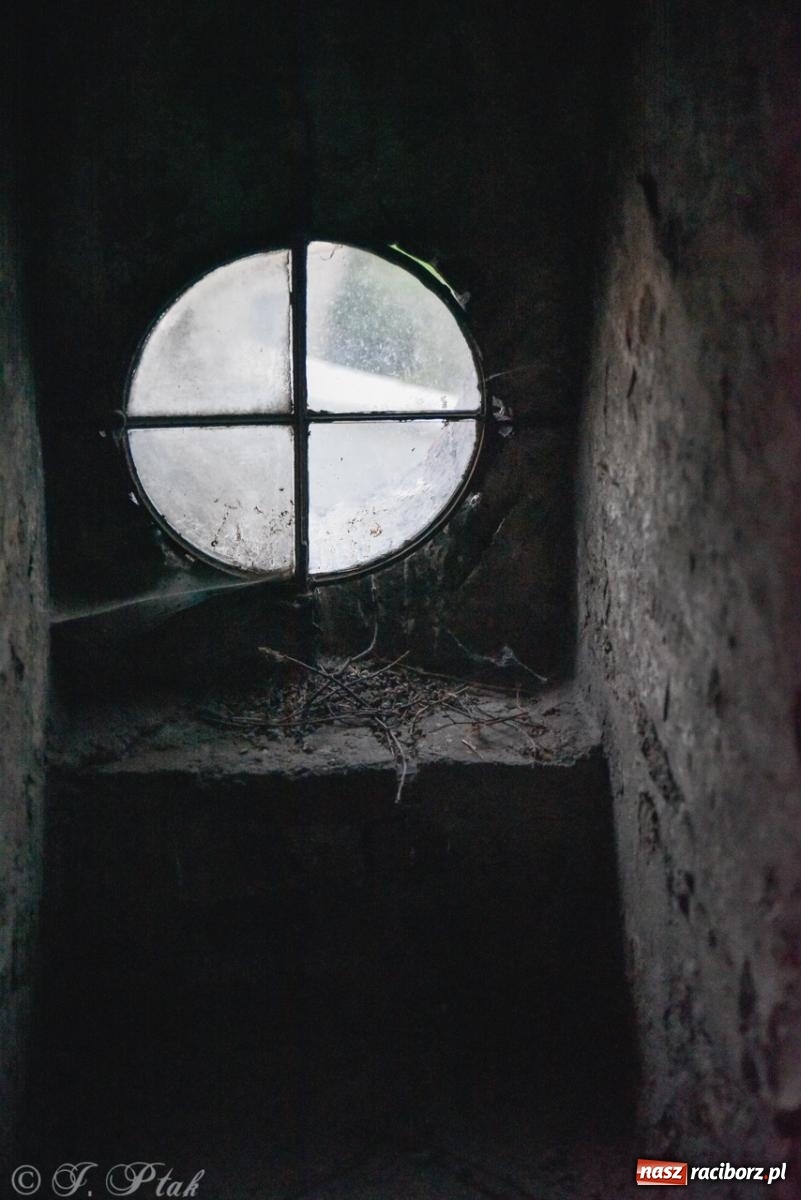 Zdjęcie w galerii na portalu naszraciborz.pl: Noc Muzeów w Wodociągach Raciborskich – wyjątkowe zwiedzanie miejskiej infrastruktury wiadomości z regionu